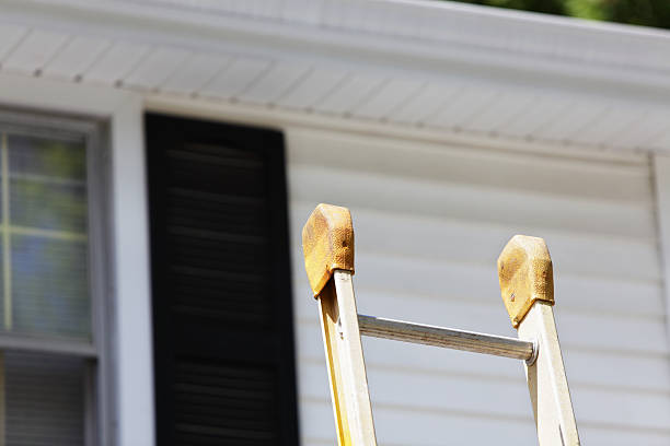 Best Steel Siding Installation  in Moraga, CA